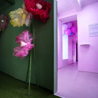 Výstava The Pop Up!