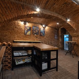 Janáček office - Velká tzv. Sklepní galerie