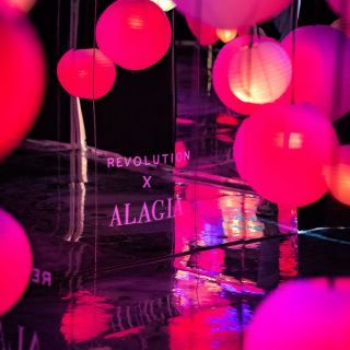 Výstava The Pop Up!