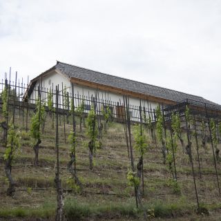 Botanická zahrada hl.m. Prahy - Viniční domek