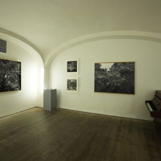 GUP / Galerie U Prstenu