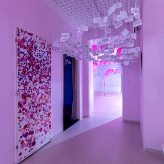 Výstava The Pop Up!