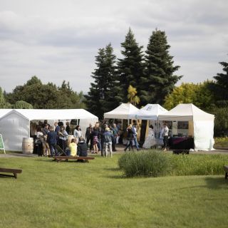 Botanická zahrada hl.m. Prahy - Louka u rašeliniště v severní části venkovních expozic