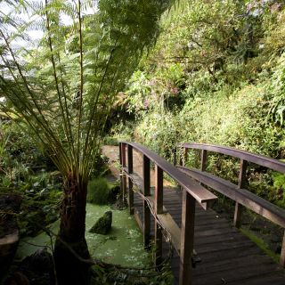 Botanická zahrada hl.m. Prahy - Tropický skleník Fata Morgana
