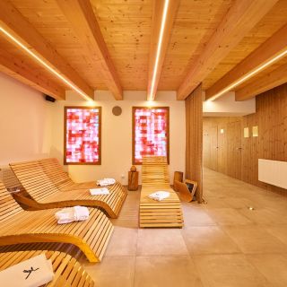 Hotel Ryzlink - smazat - Wine Wellness Hotelu Ryzlink