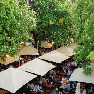 PARK Riegrovy sady - Hlavní část zahradní restaurace pod stoletými kaštany s historickým podiem