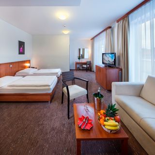 Hotel Academic