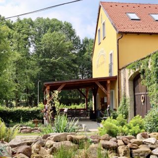 Resort Zelený grunt - Venkovní zahrada pro neformální aktivity