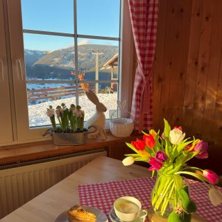 Hotel Bílá labuť