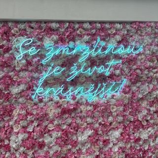 Neons.cz