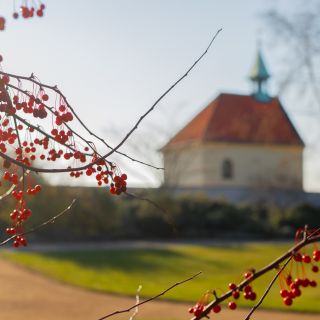 Botanická zahrada hl.m. Prahy - Vinice svaté Kláry