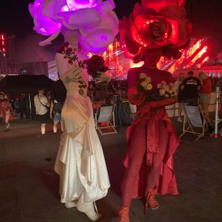 Aliatrix - visual entertainment agency - Walking acts