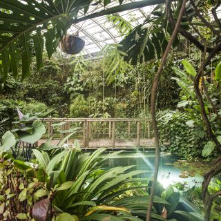 Botanická zahrada hl.m. Prahy - Tropický skleník Fata Morgana