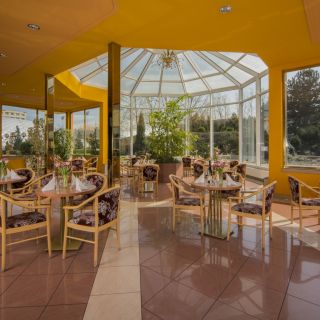 Lobby bar se zimní zahradou (Top Hotel)