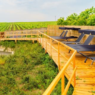 Apartmány a vinařství BUCHTOVÍN