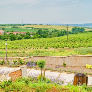 Apartmány a vinařství BUCHTOVÍN