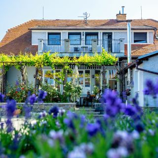 Amenity Penzion Horní Věstonice - AMENITY APARTMÁNY PERNÁ (dependance)