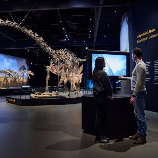 POP Airport - Dinosauria