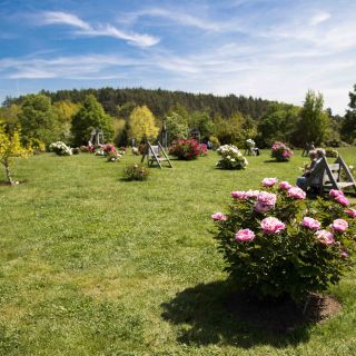 Botanická zahrada hl.m. Prahy - Pivoňková louka