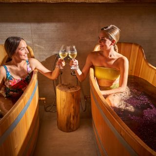 Hotel Ryzlink - smazat - Wine Wellness Hotelu Ryzlink