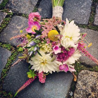 Lucernička Flowers