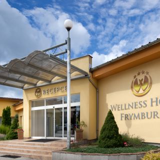 Wellness Hotel Frymburk - VIP salónek