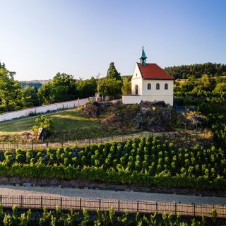 Botanická zahrada Praha