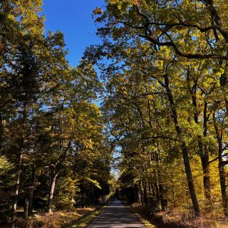 Když chcete být spolu a přitom mít klid. Černická hájenka a Hájenka Marunka v Resortu Bechyně