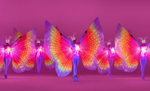Světelná taneční show – Light & dance show