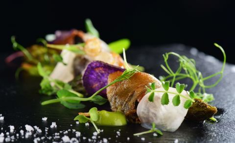 Catering Brno