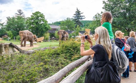 Zoologická zahrada hl. m. Prahy