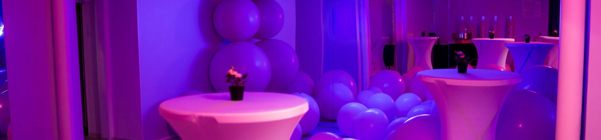 Výstava The Pop Up!