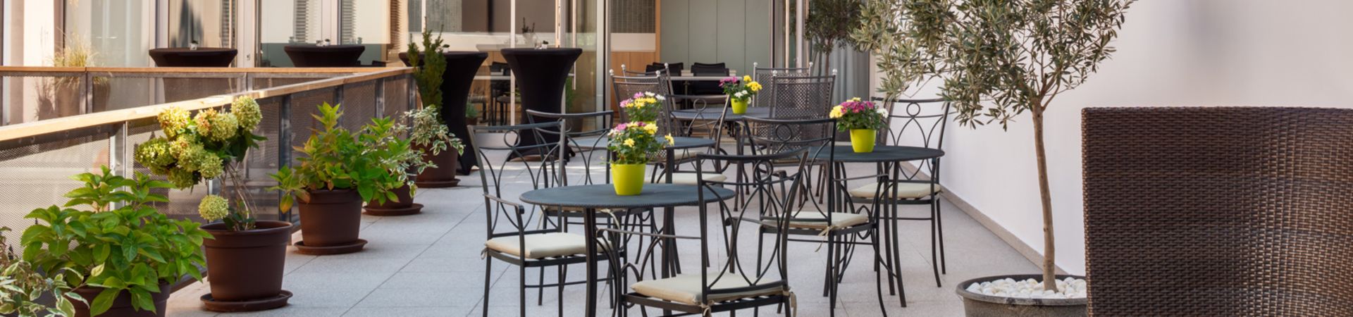 Hotel Carol - Letní terasa