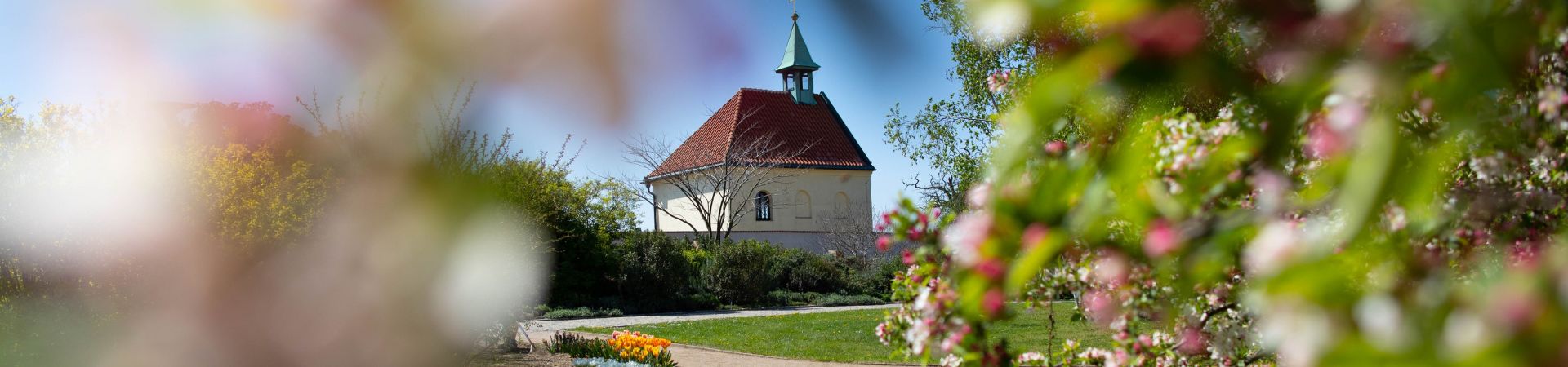 Botanická zahrada hl.m. Prahy - Vinice svaté Kláry