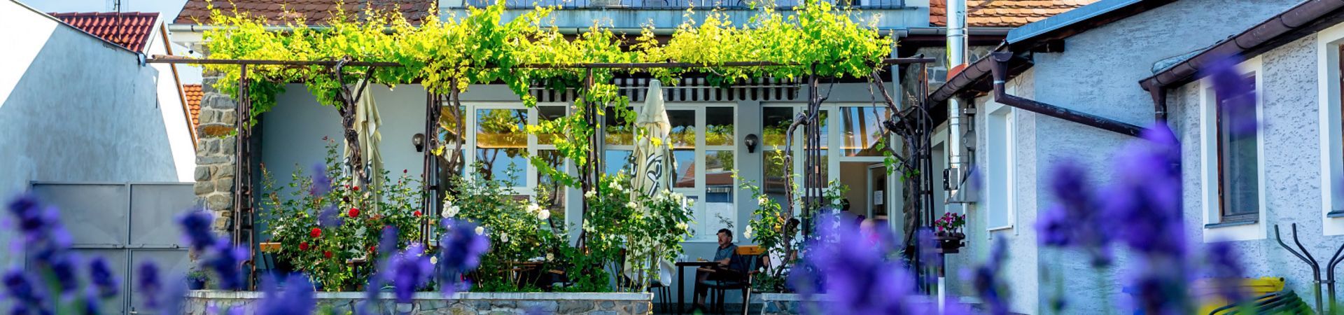 Amenity Penzion Horní Věstonice - AMENITY APARTMÁNY PERNÁ (dependance)