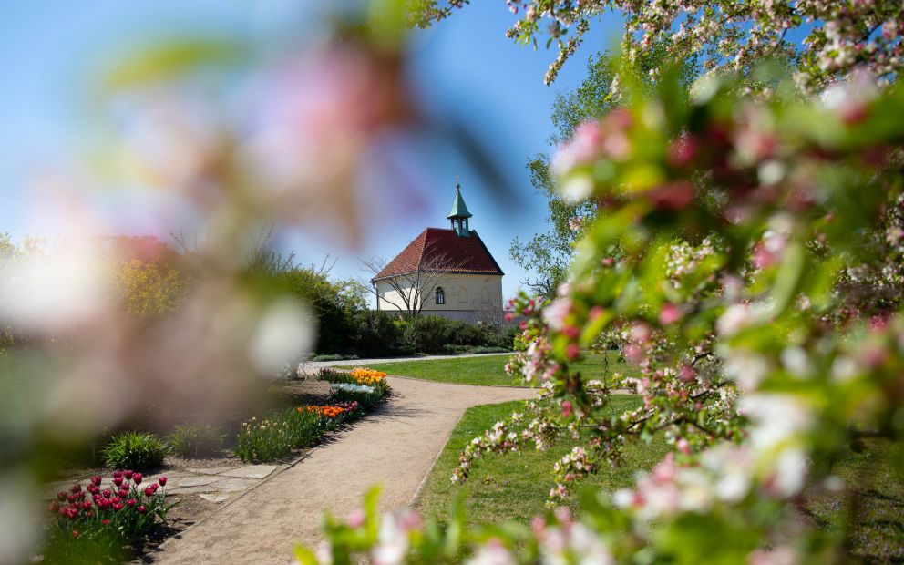 Botanická zahrada hl.m. Prahy - Vinice svaté Kláry