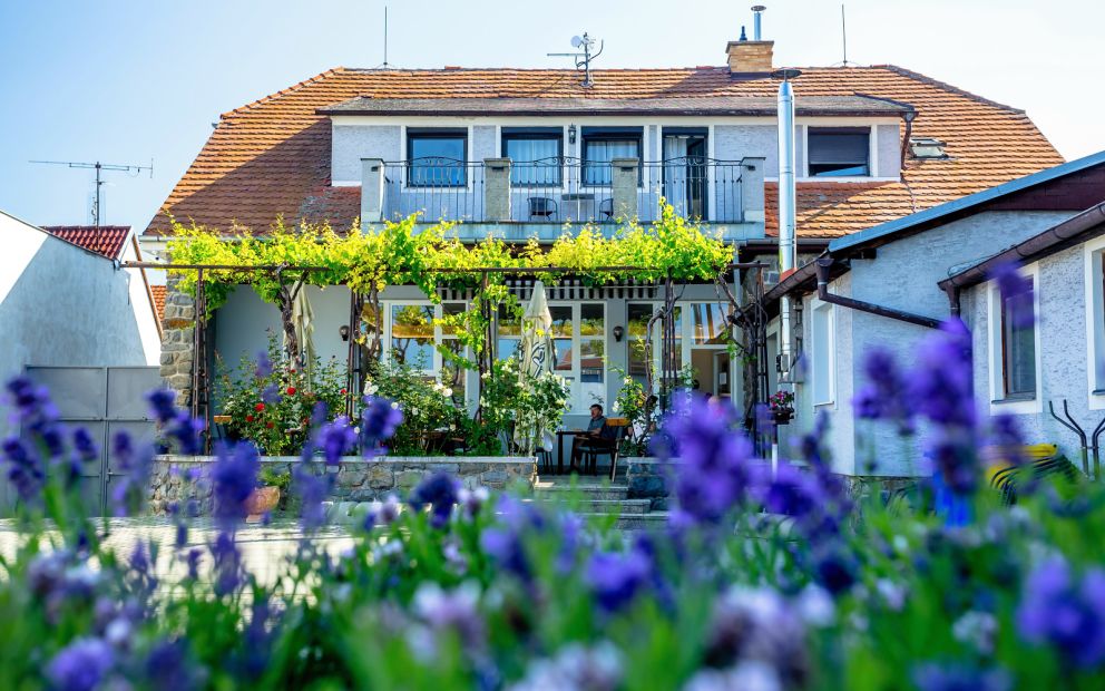 Amenity Penzion Horní Věstonice - AMENITY APARTMÁNY PERNÁ (dependance)