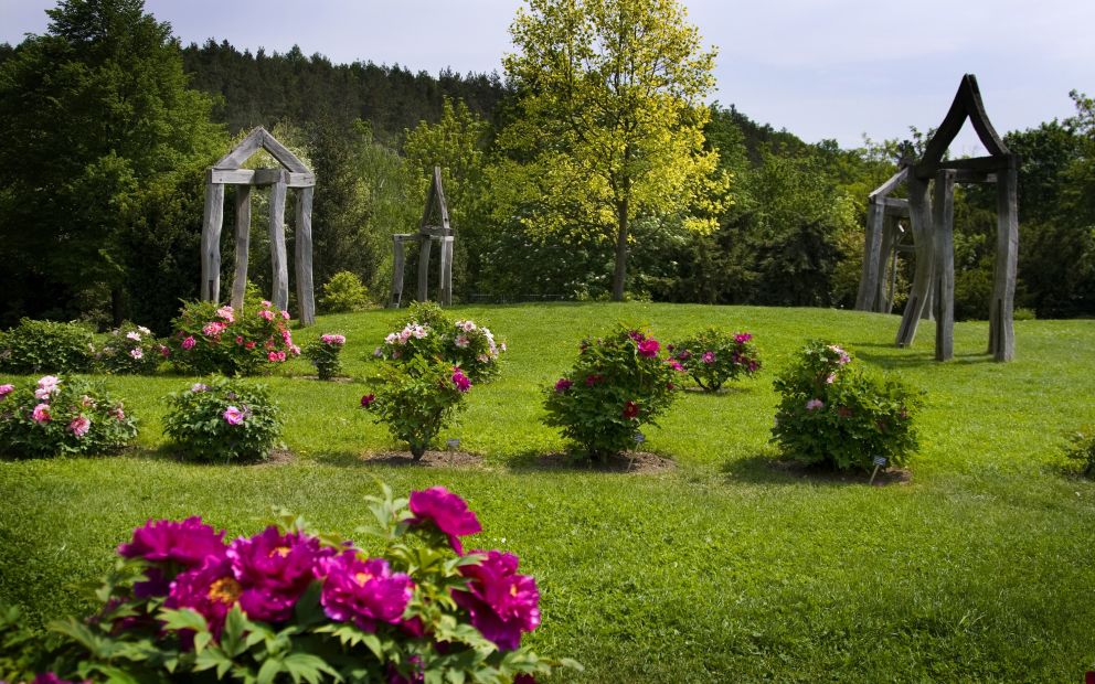 Botanická zahrada hl.m. Prahy - Pivoňková louka