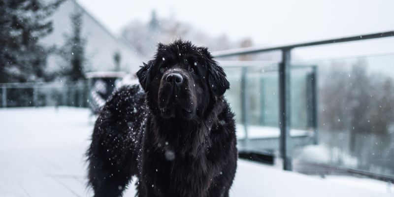 Zimní firemní akce na Monínci