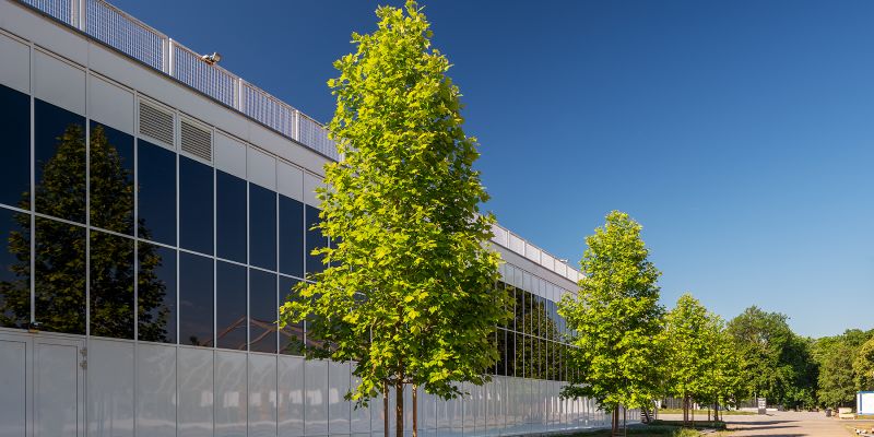 Výstaviště Praha - Velké Křižíkovy pavilony (B, E)