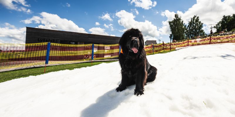 Sněhové radovánky na bobech i hudební hvězdy, taková byla oslava 30 let Areálu Monínce
