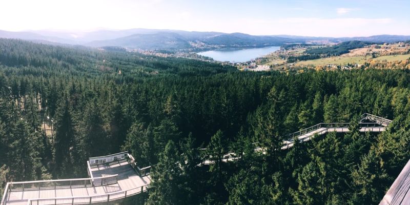 Stezka korunami stromů Lipno