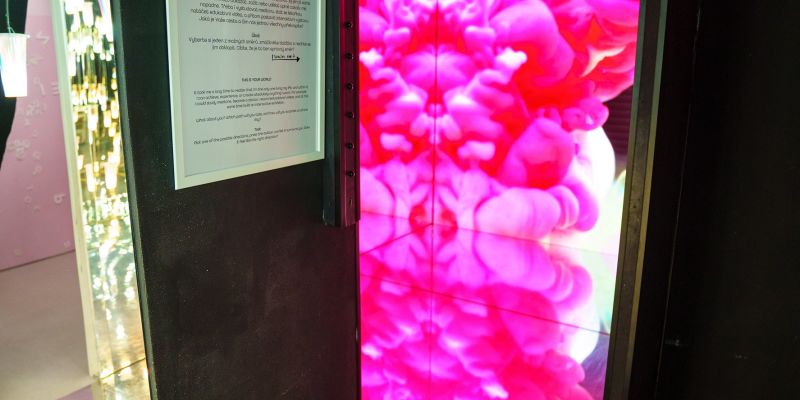 Výstava The Pop Up!