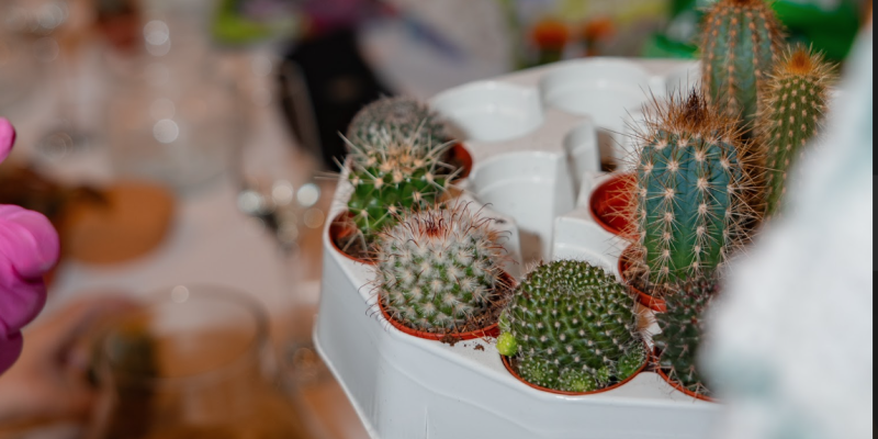 ArtMoment kreativní workshopy