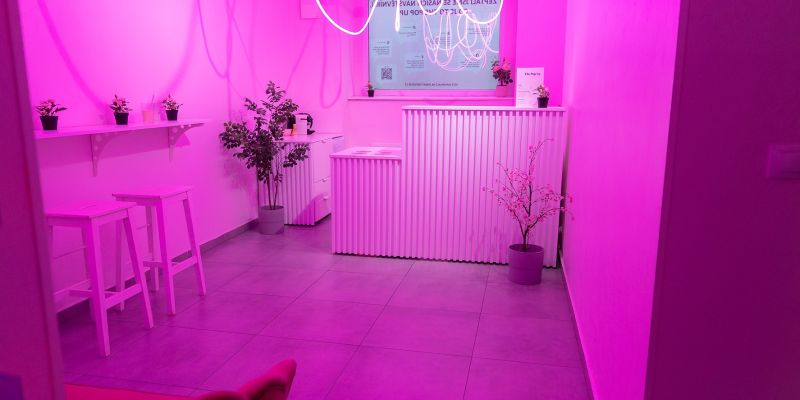 Výstava The Pop Up!