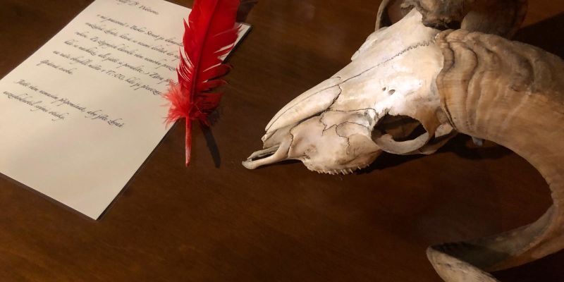 Escape Zone - mobilní únikové a detektivní hry