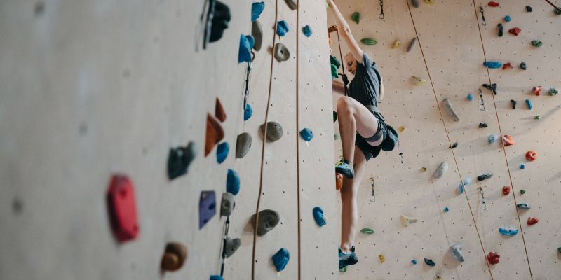 Panský dvůr Telč - Lanové centrum