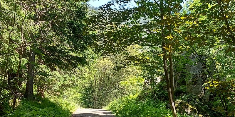 Wellness Hotel WINDSOR: konferenční prostory a zážitková gastronomie v srdci Špindlerova Mlýna