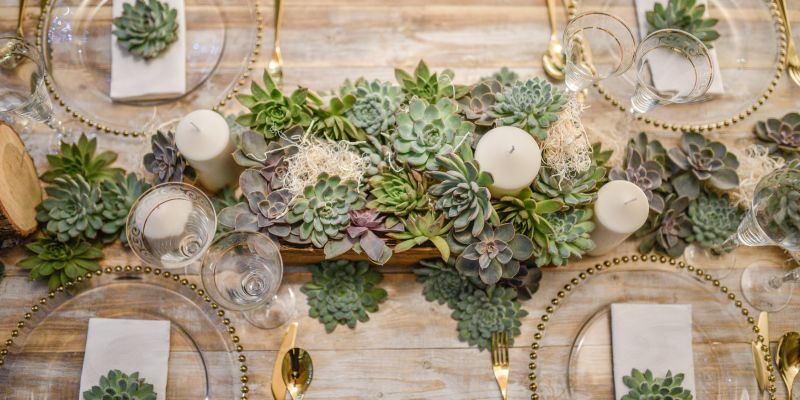 NFCP rental equipment