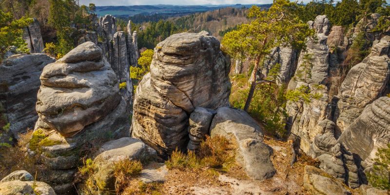 Hradec Králové Region Convention Bureau